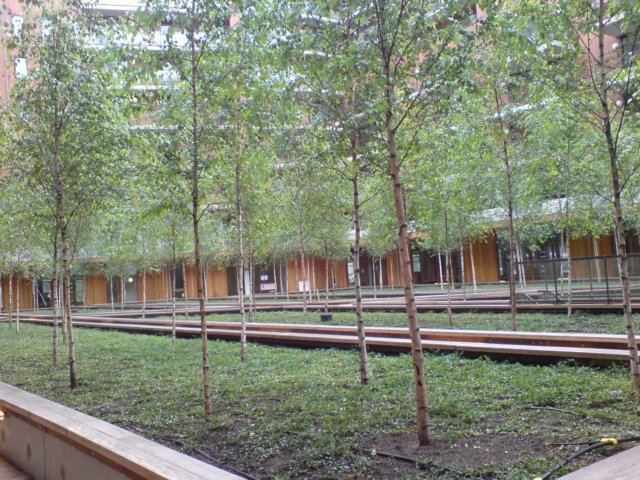 binnentuin17juli2007.jpg